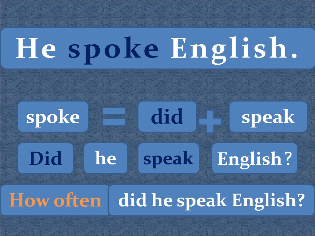 He spoke English. spoke did speak Did he speak English ? How often did